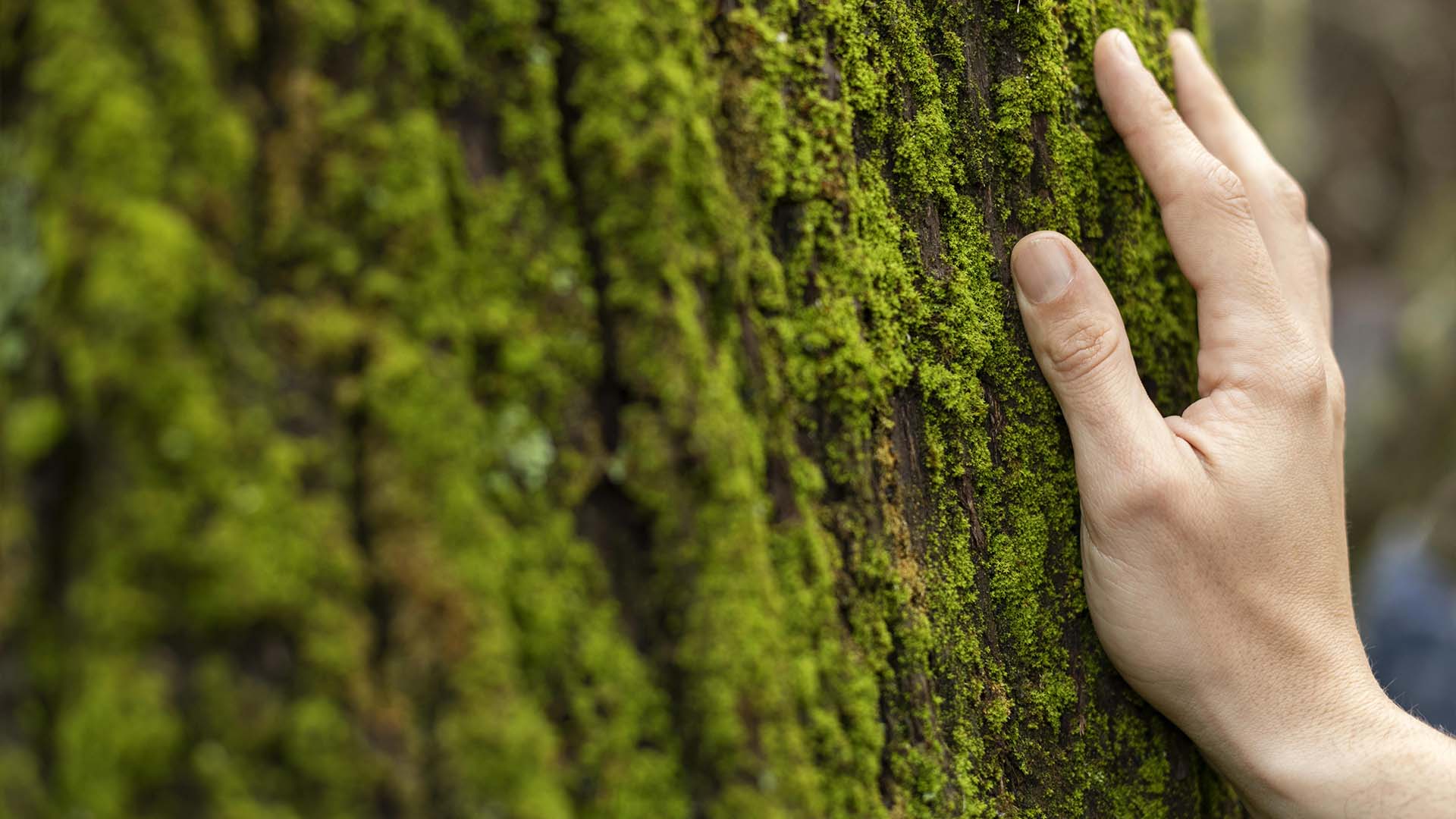 Pensiamo Green